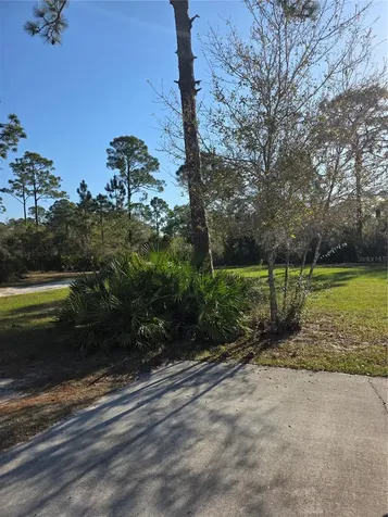 1991 Rosalie Lake Road Lake Wales FL 33898