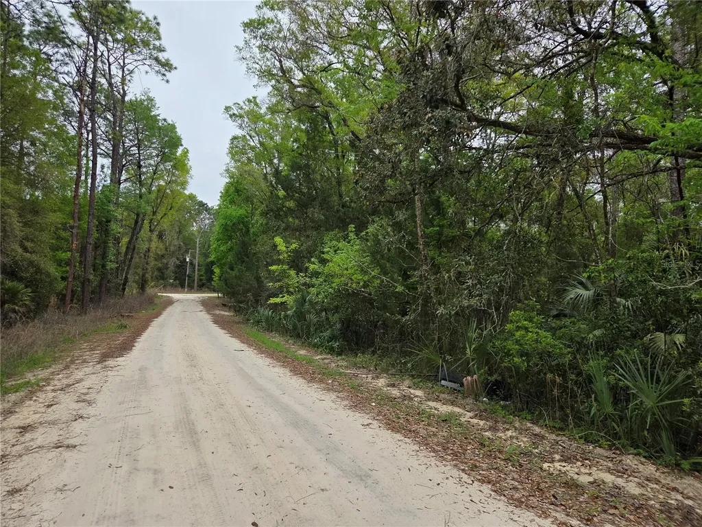 0000 NE 138th Terrace Williston FL 32696