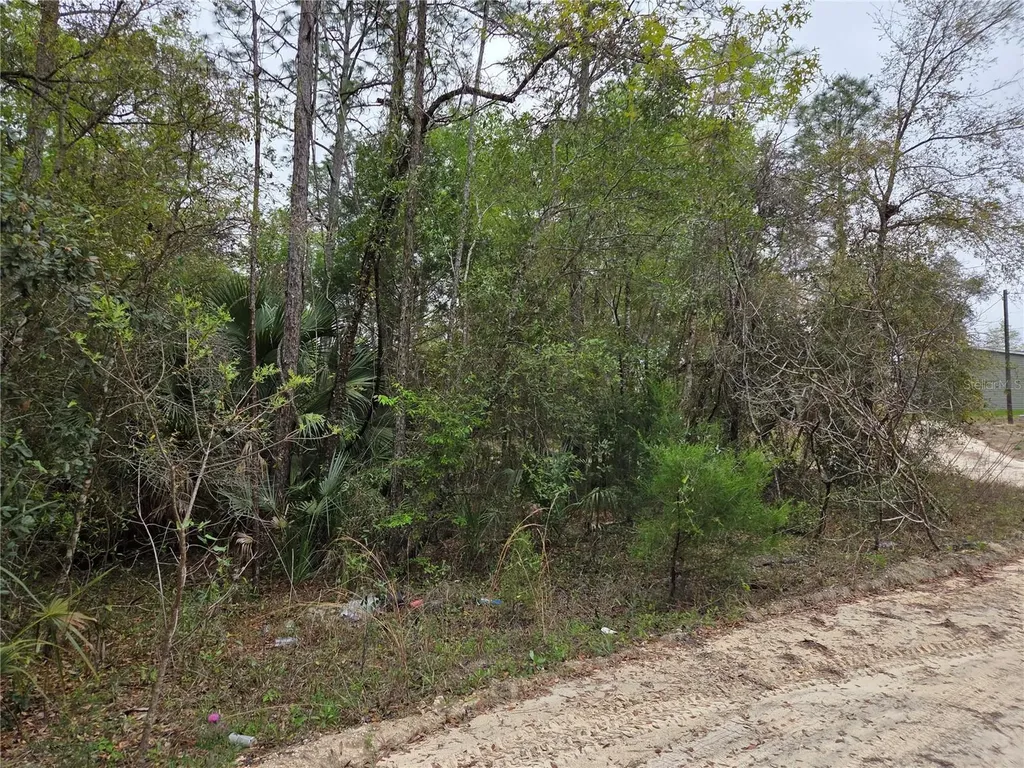 0000 NE 138th Terrace Williston FL 32696