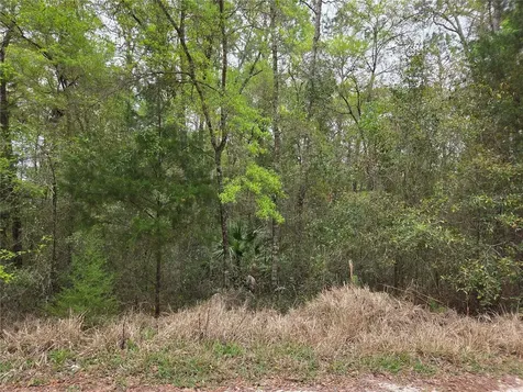 0000 NE 138th Terrace Williston FL 32696