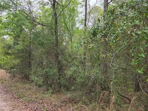 0000 NE 138th Terrace Williston FL 32696