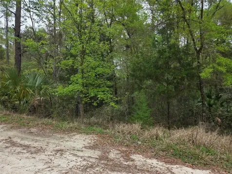 0000 NE 138th Terrace Williston FL 32696