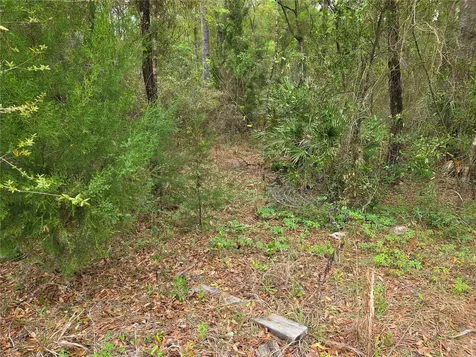 0000 NE 138th Terrace Williston FL 32696