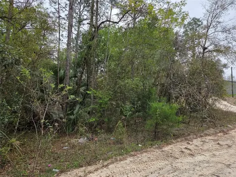 0000 NE 138th Terrace Williston FL 32696