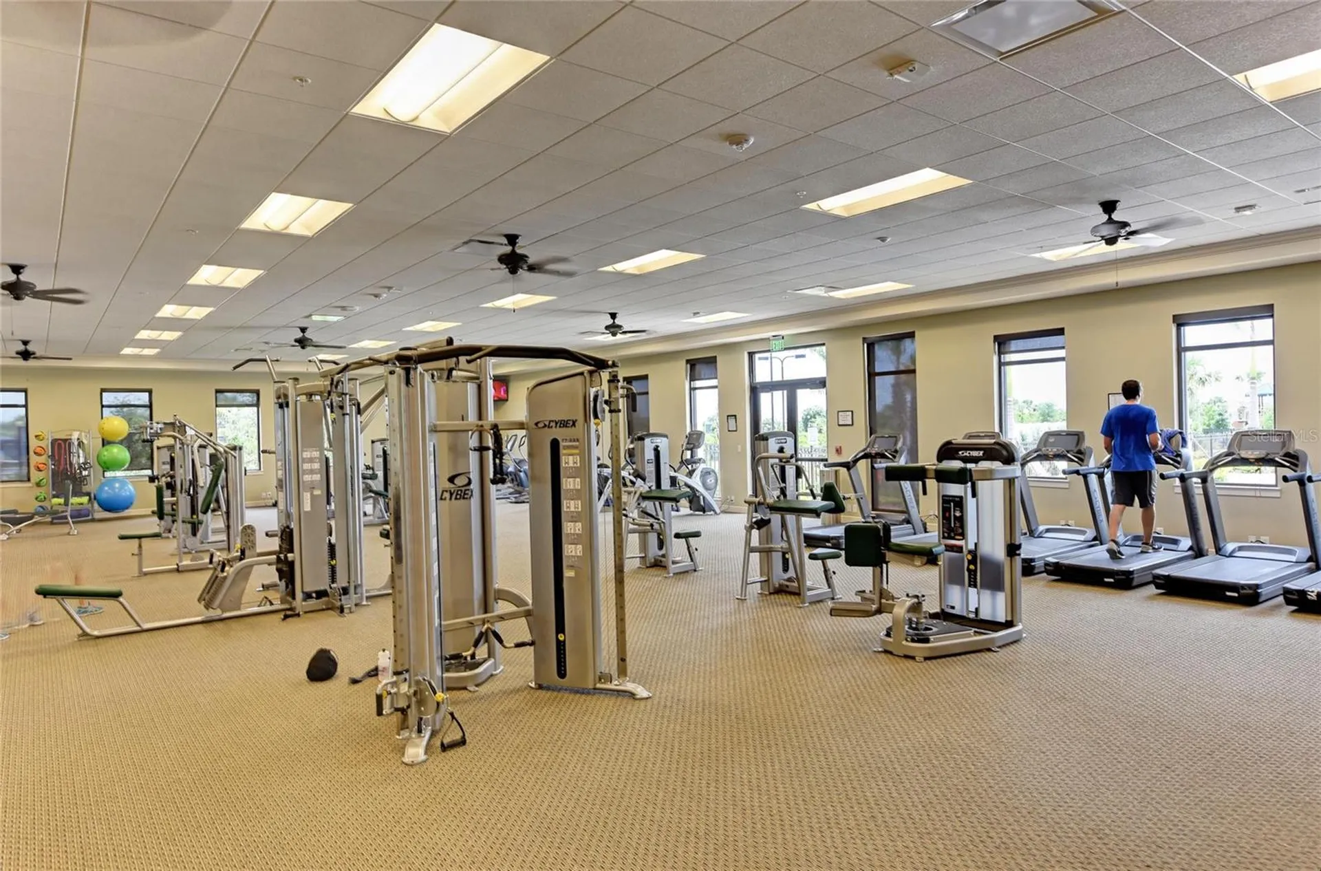 10832 Whisk Fern Drive Venice FL 34293