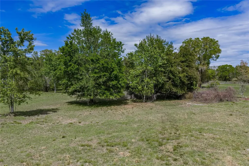 0 Clayton Road Kathleen FL 33849