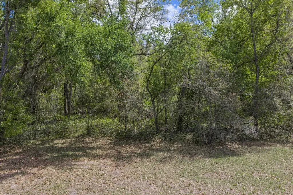 0 Clayton Road Kathleen FL 33849