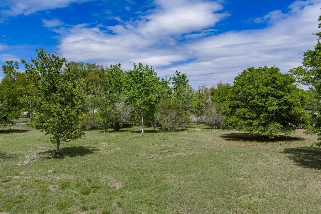 0 Clayton Road Kathleen FL 33849