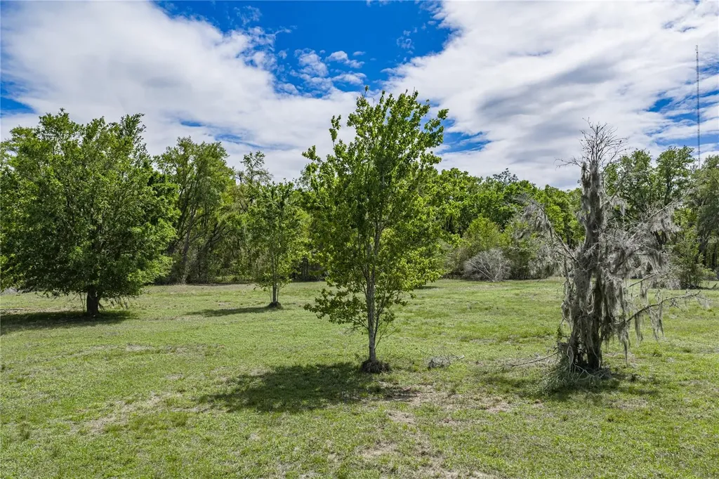 0 Clayton Road Kathleen FL 33849