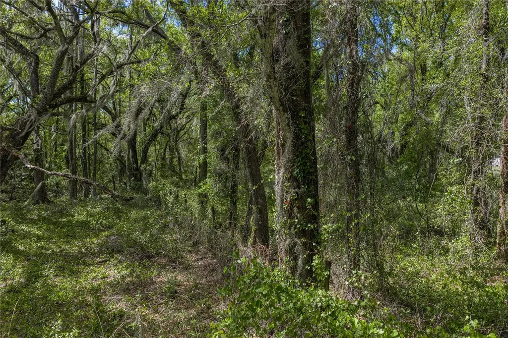 0 Clayton Road Kathleen FL 33849