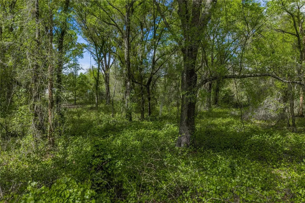 0 Clayton Road Kathleen FL 33849