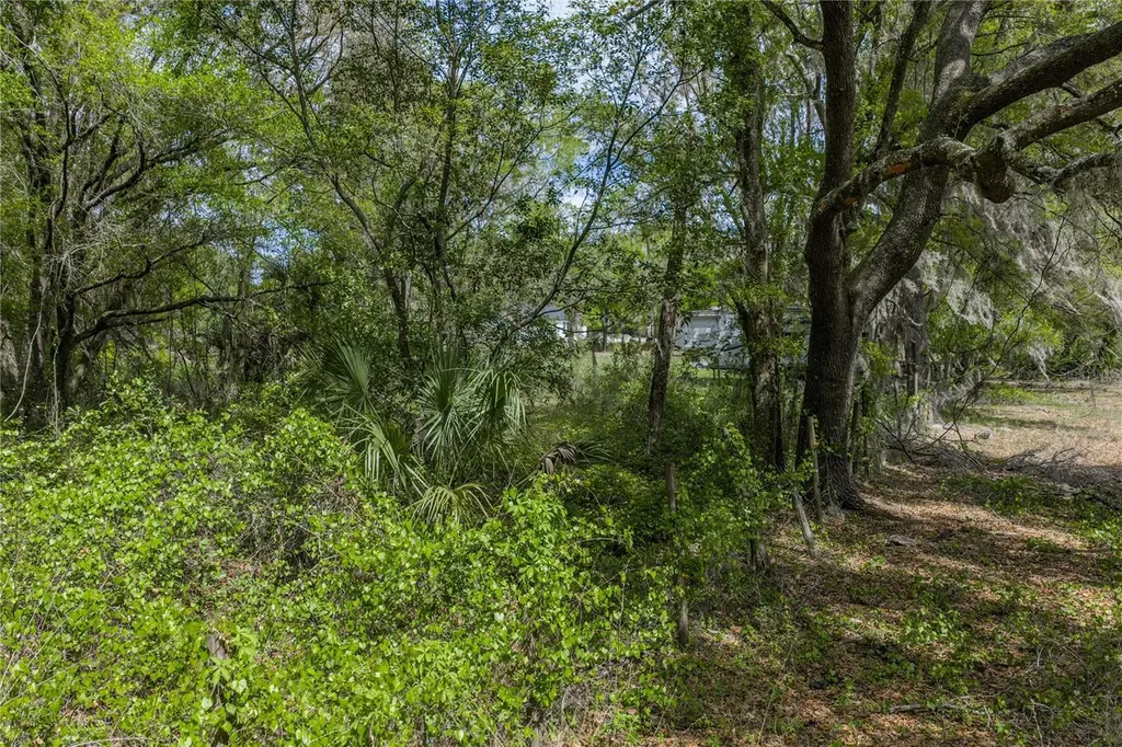 0 Clayton Road Kathleen FL 33849
