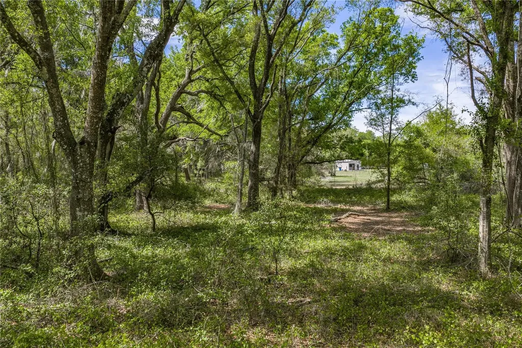 0 Clayton Road Kathleen FL 33849
