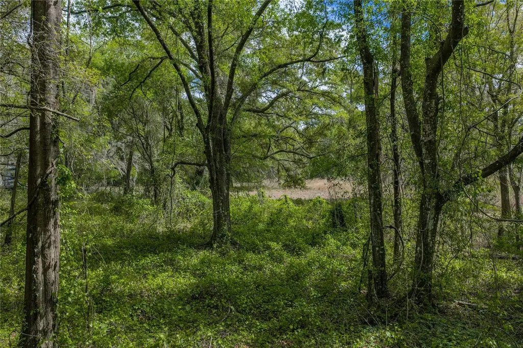 0 Clayton Road Kathleen FL 33849