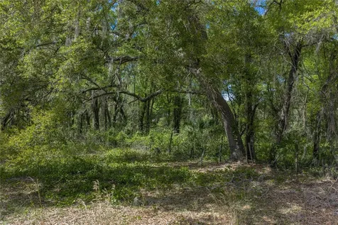 0 Clayton Road Kathleen FL 33849