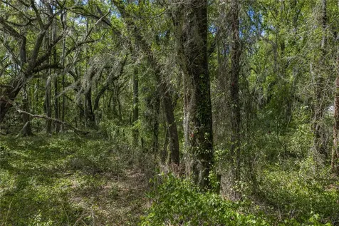 0 Clayton Road Kathleen FL 33849
