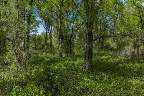 0 Clayton Road Kathleen FL 33849
