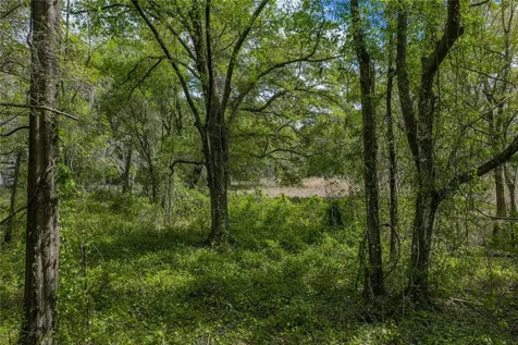 0 Clayton Road Kathleen FL 33849