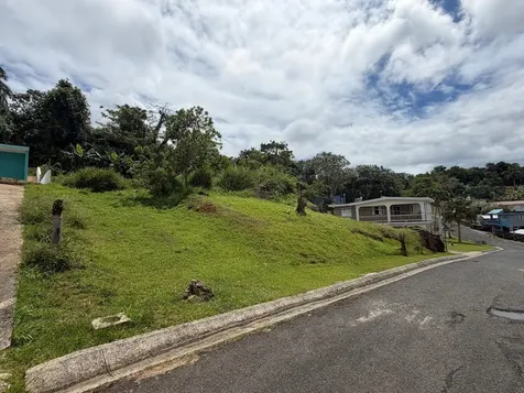 Villa Encantada 4.4 Carr 787 Cidra PR 00739