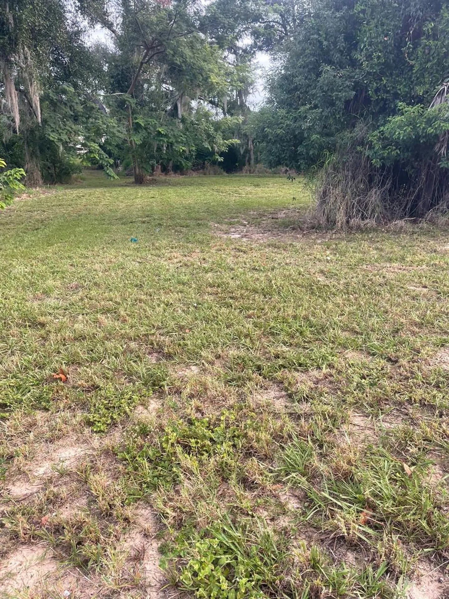 1000 W Montrose Street Clermont FL 34711