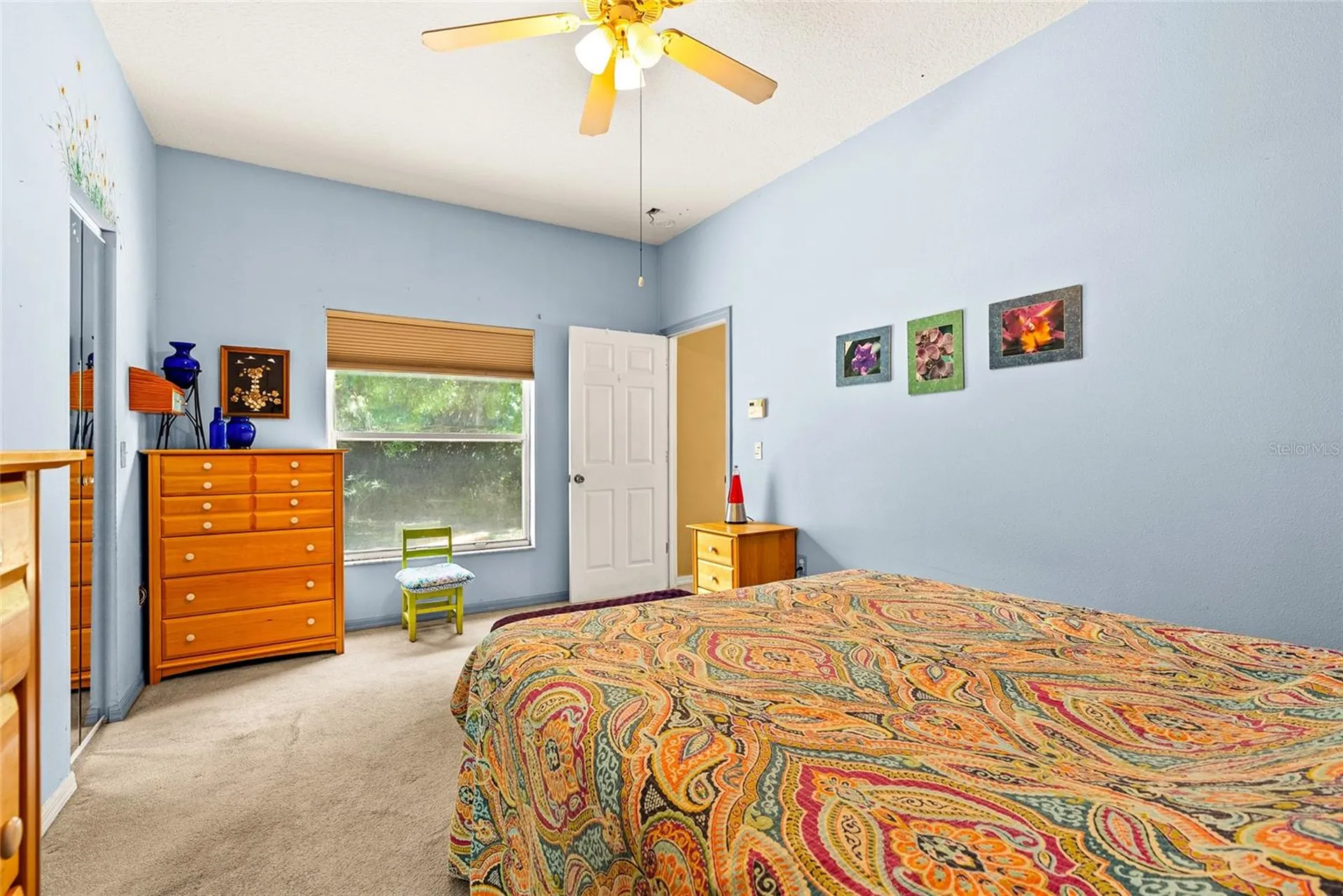 8127 N Packwood Avenue Tampa FL 33604