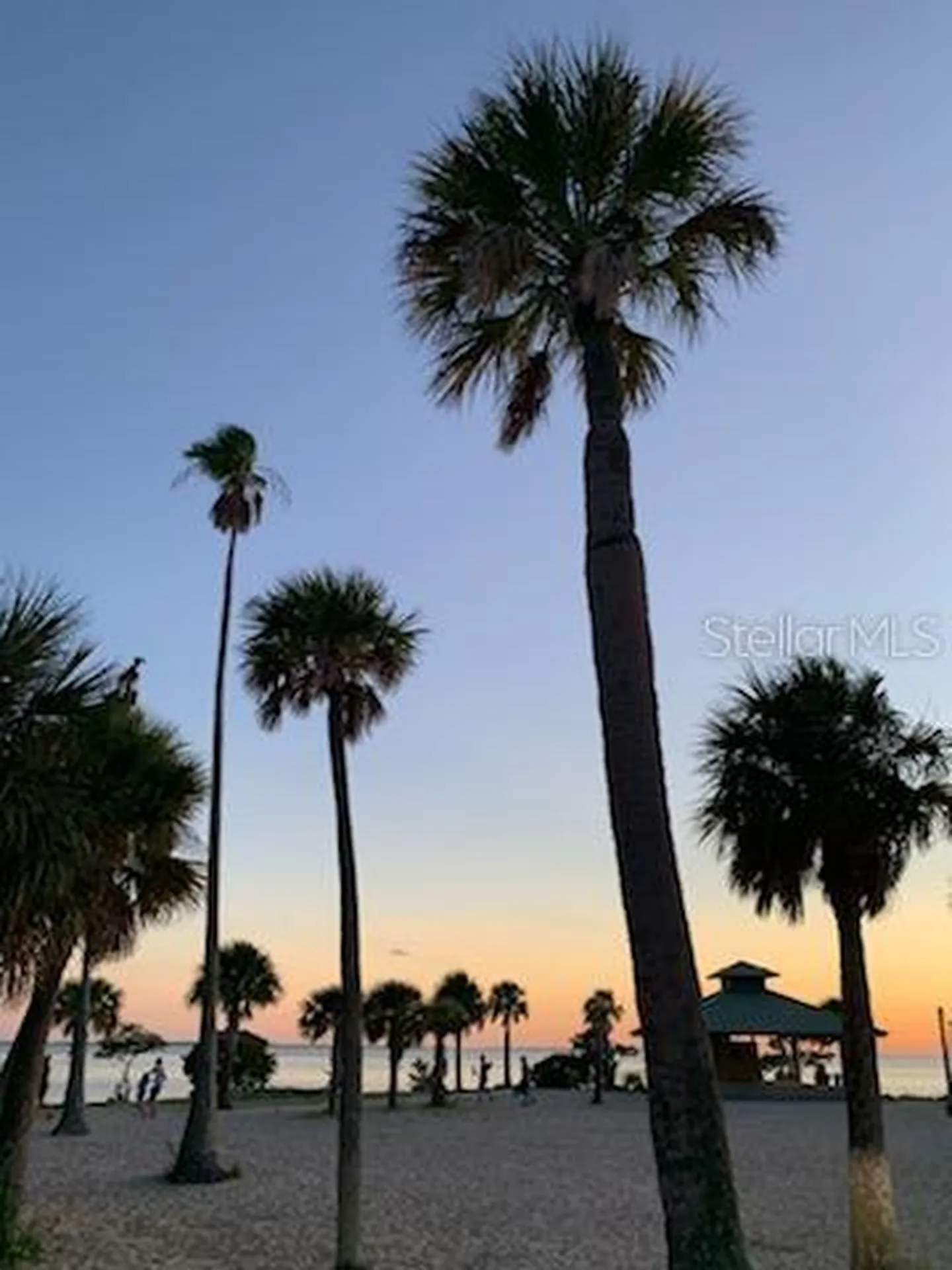 39820 Us Highway 19 N Tarpon Springs FL 34689