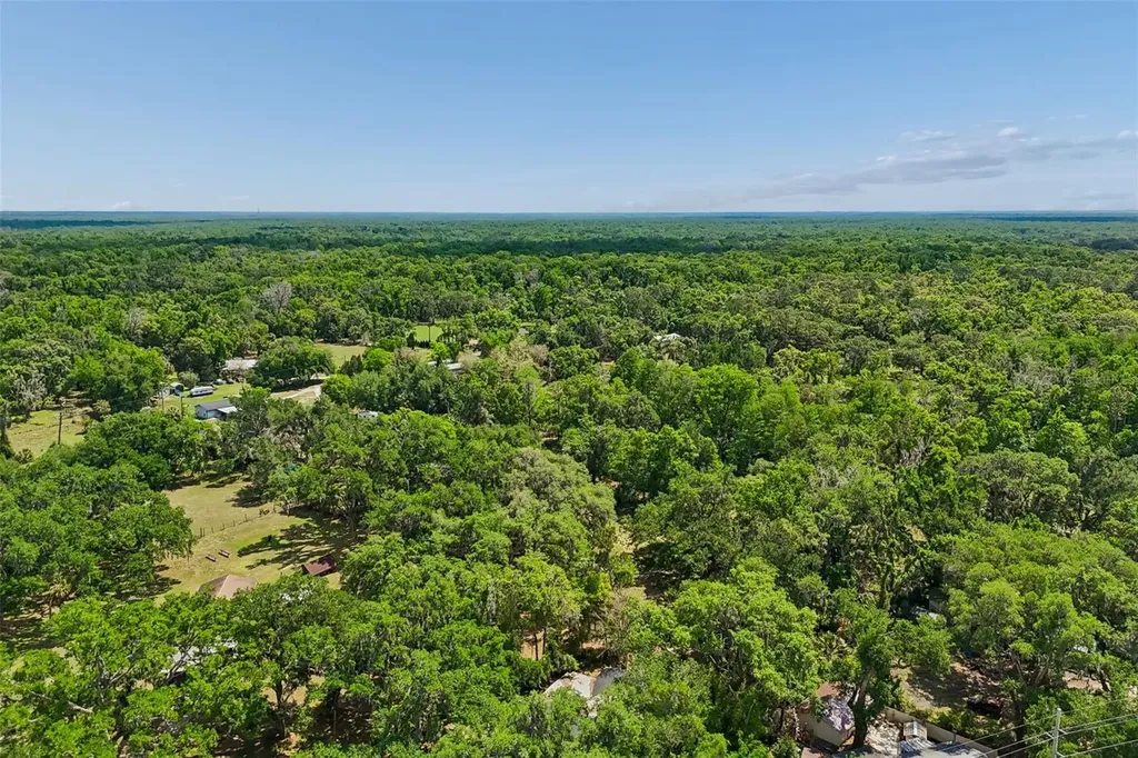 15311 Morris Bridge Road Thonotosassa FL 33592