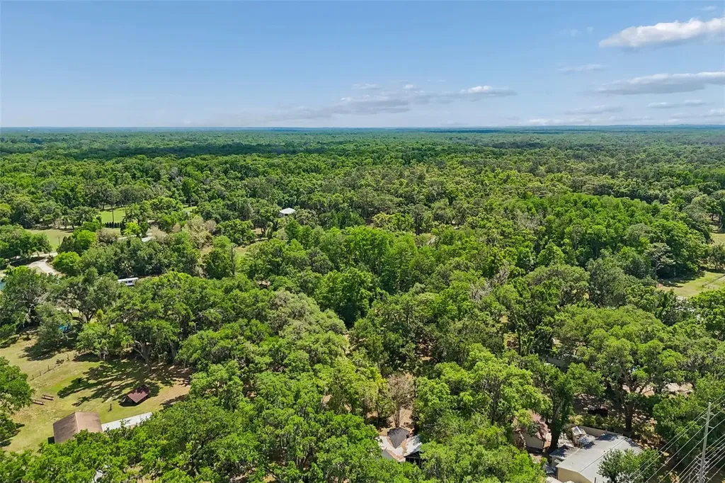 15311 Morris Bridge Road Thonotosassa FL 33592