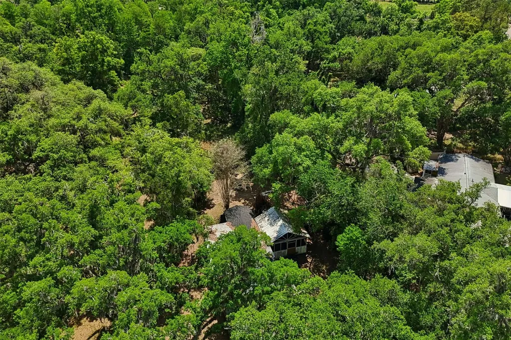 15311 Morris Bridge Road Thonotosassa FL 33592
