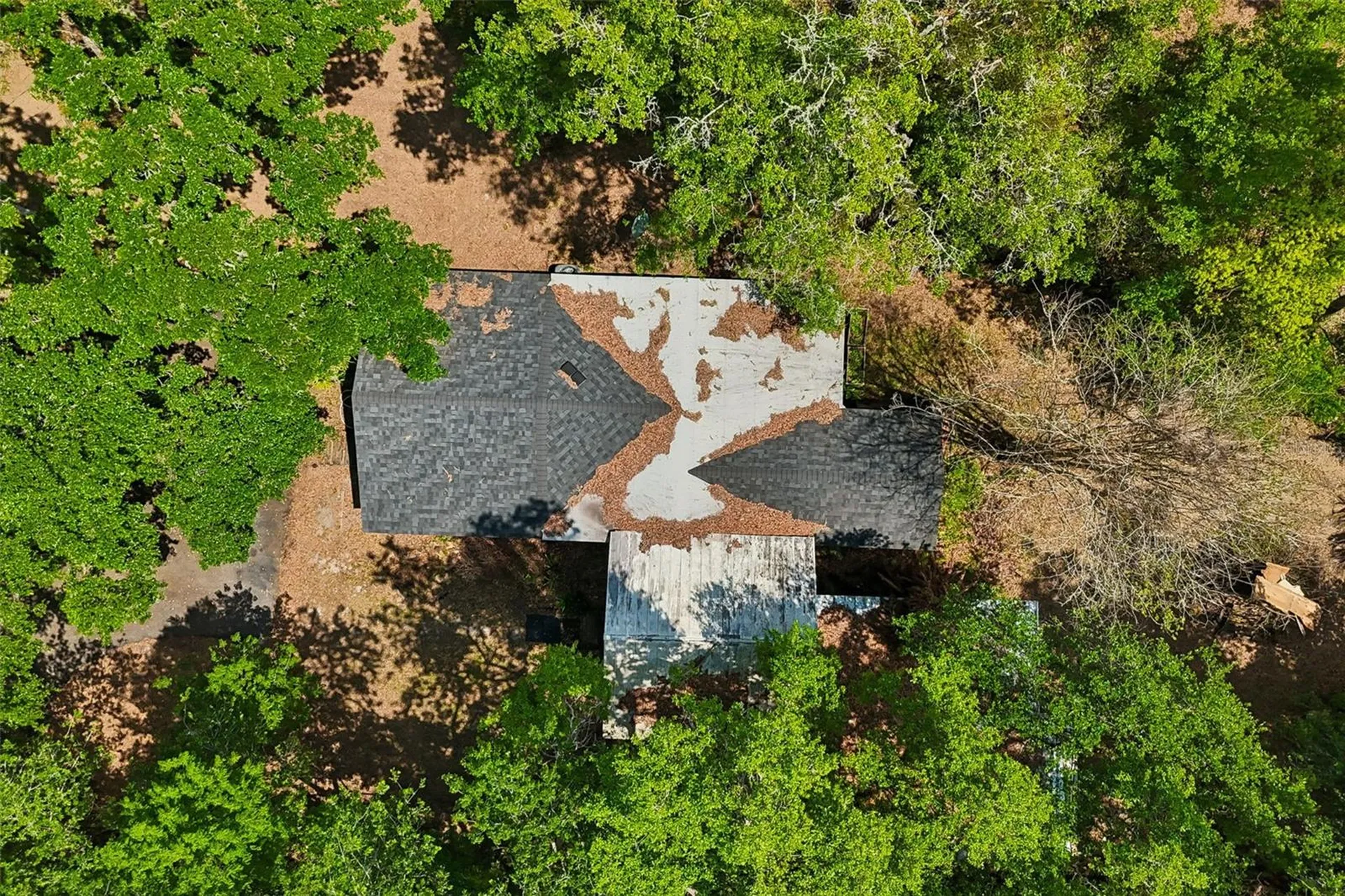 15311 Morris Bridge Road Thonotosassa FL 33592