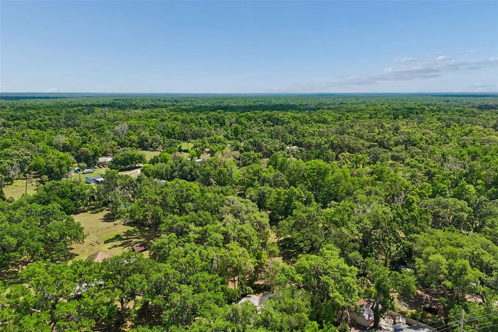 15311 Morris Bridge Road Thonotosassa FL 33592