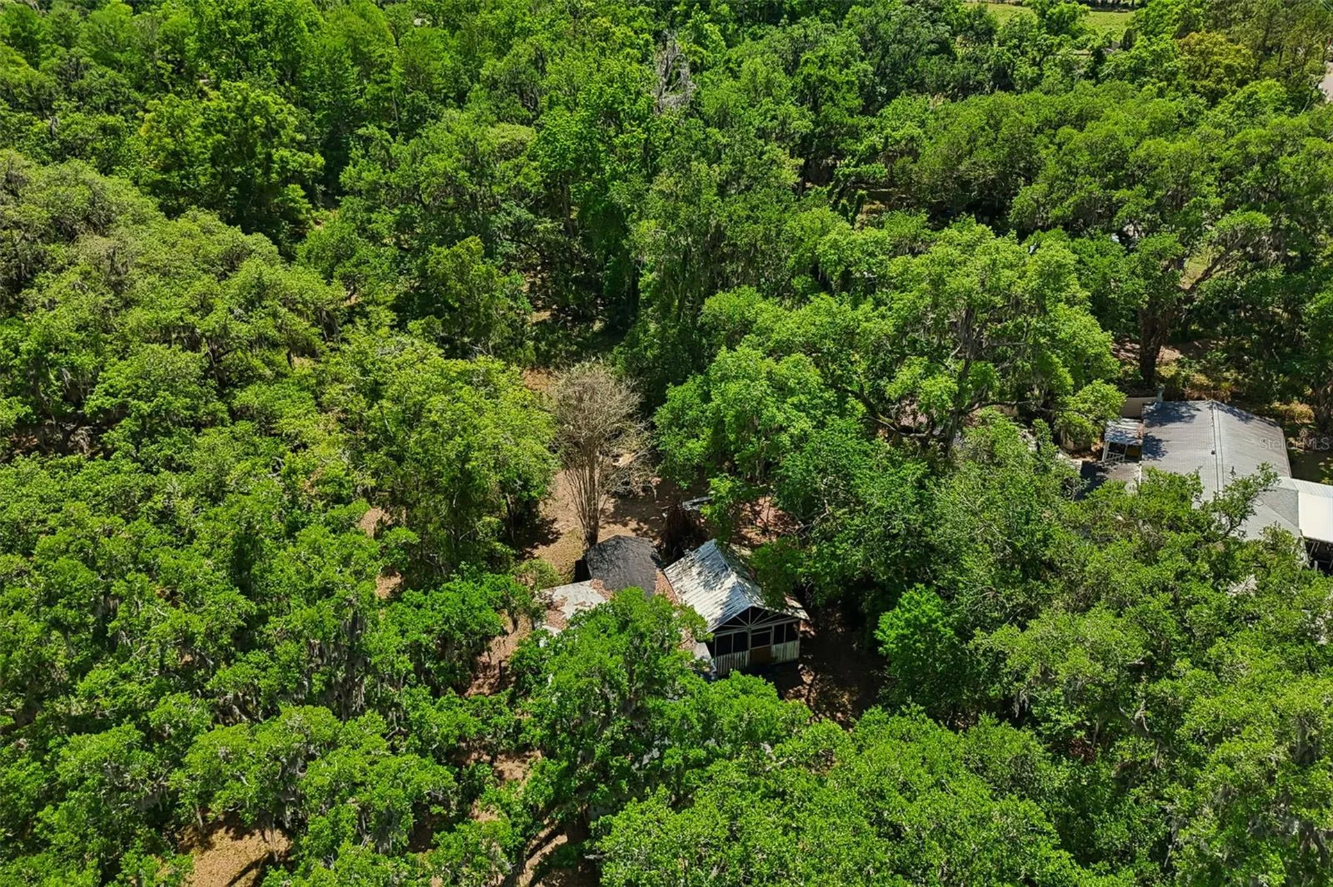 15311 Morris Bridge Road Thonotosassa FL 33592