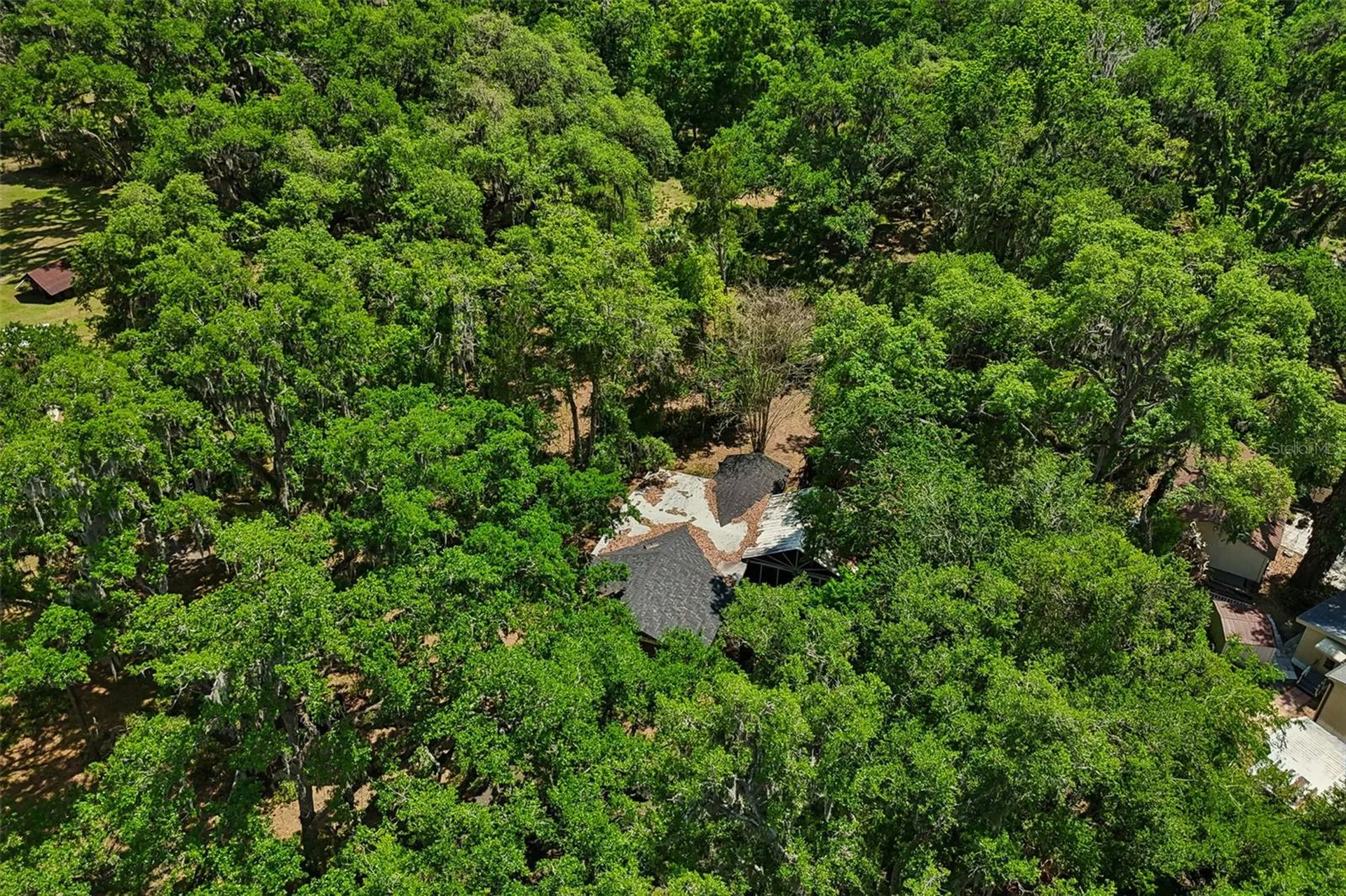 15311 Morris Bridge Road Thonotosassa FL 33592