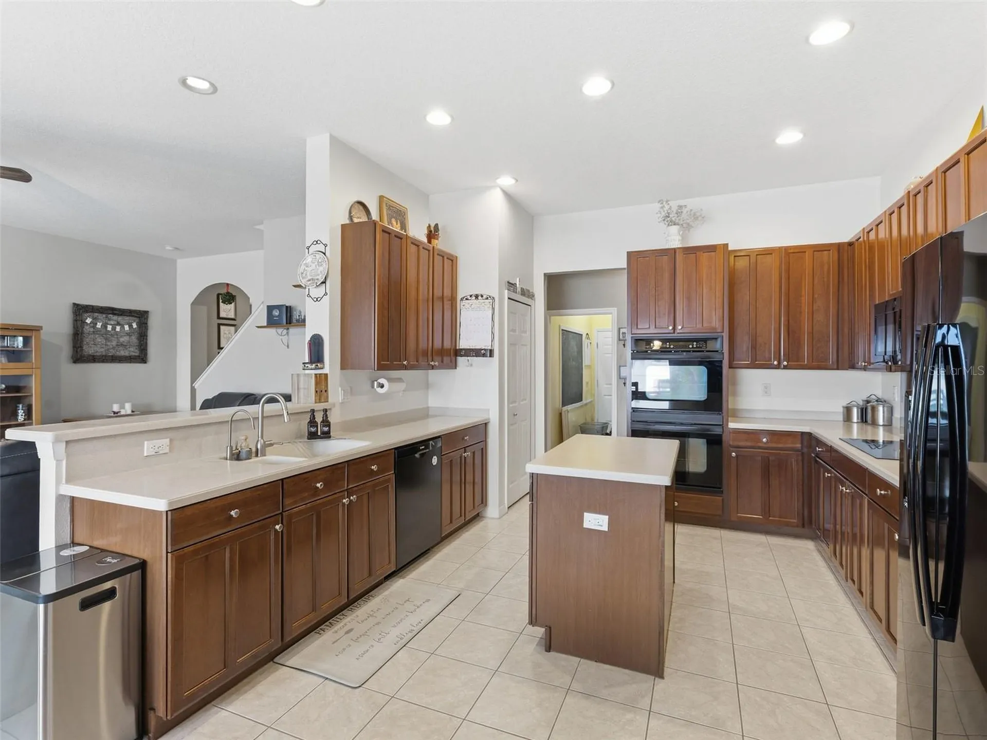 22548 Cliffside Way Land O Lakes FL 34639