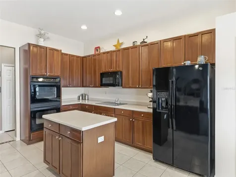 22548 Cliffside Way Land O Lakes FL 34639