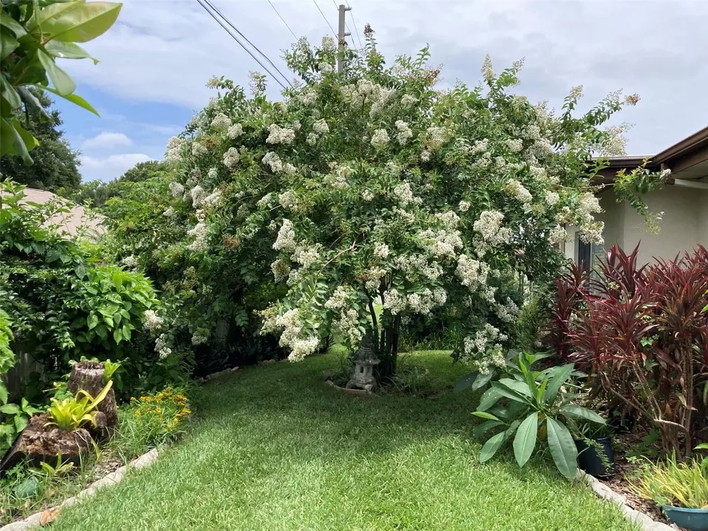2938 Macalpin Drive W Palm Harbor FL 34684