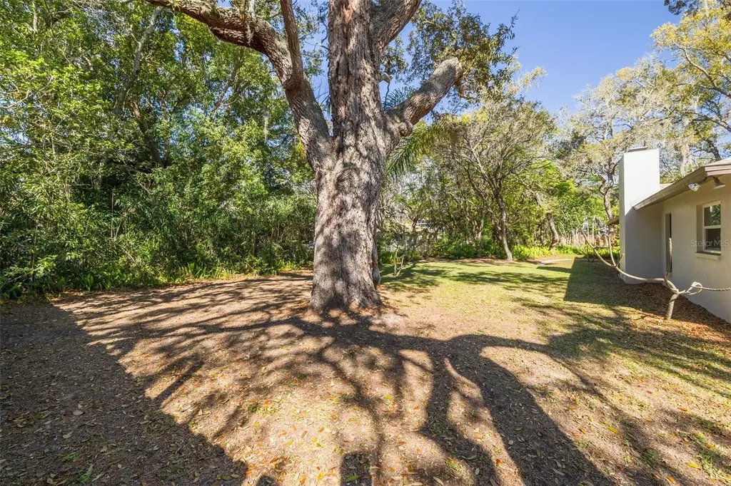 1101 Dagmar Avenue Spring Hill FL 34606