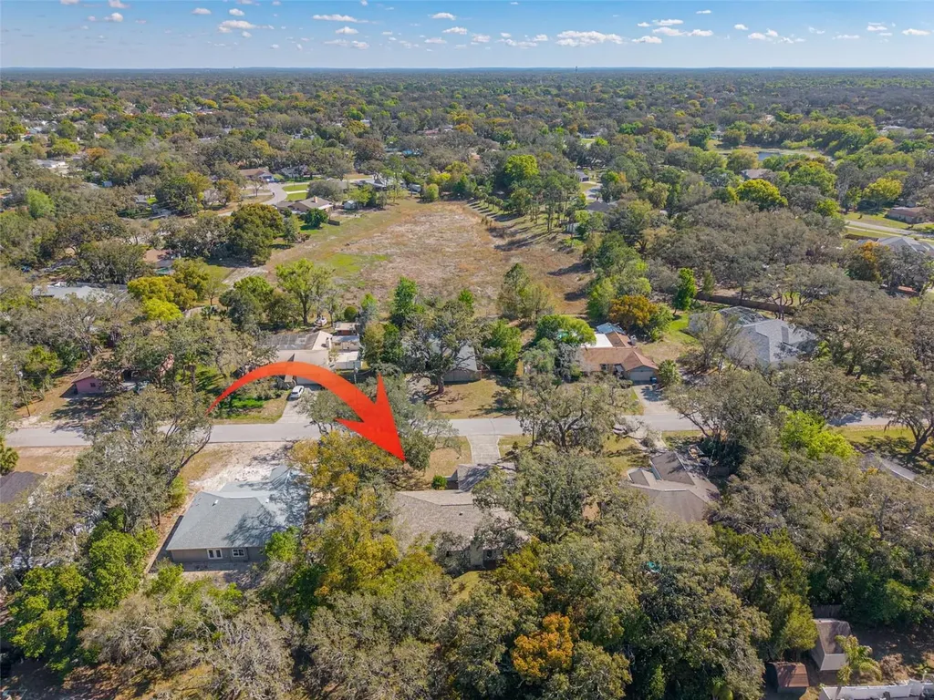 1101 Dagmar Avenue Spring Hill FL 34606