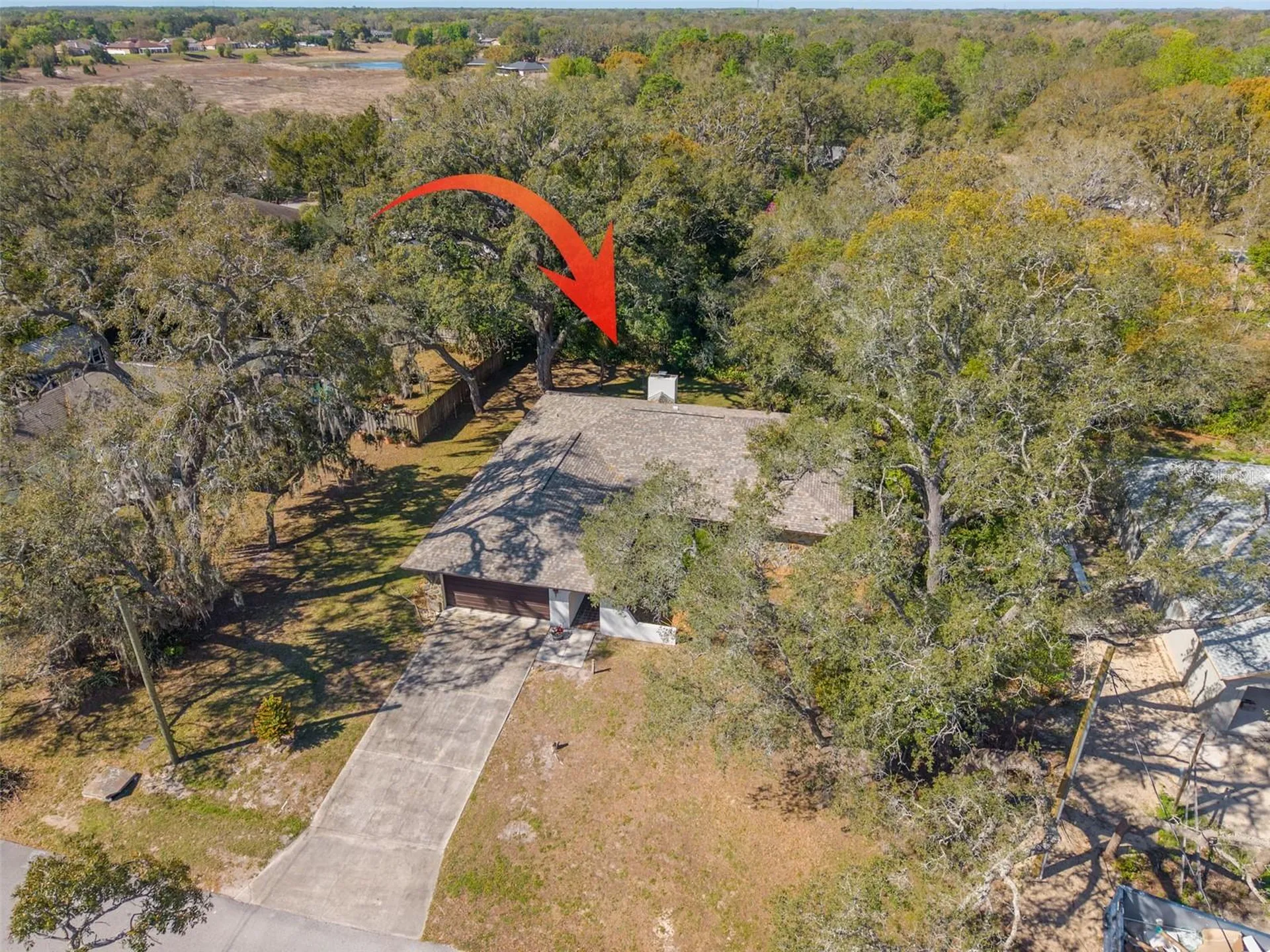 1101 Dagmar Avenue Spring Hill FL 34606