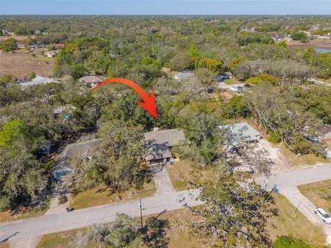 1101 Dagmar Avenue Spring Hill FL 34606