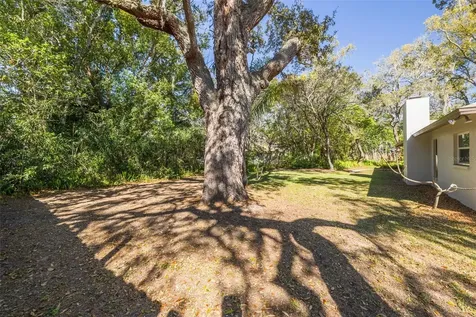 1101 Dagmar Avenue Spring Hill FL 34606