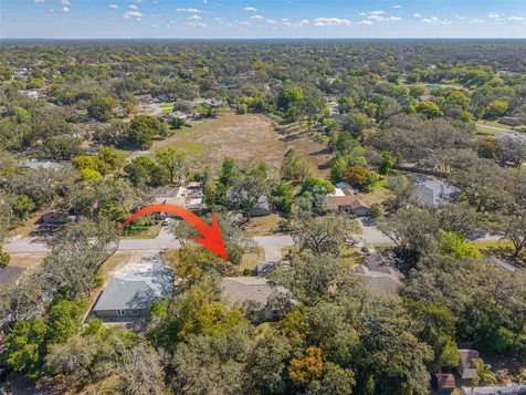 1101 Dagmar Avenue Spring Hill FL 34606
