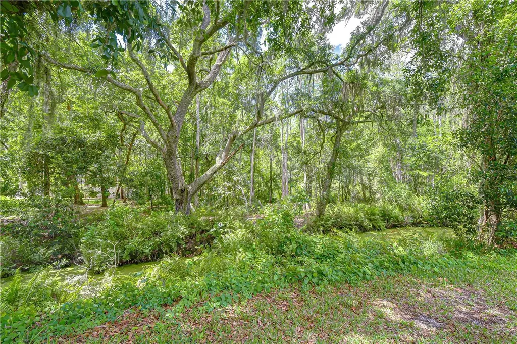 16170 Armistead Lane Odessa FL 33556