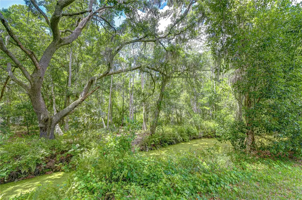 16170 Armistead Lane Odessa FL 33556