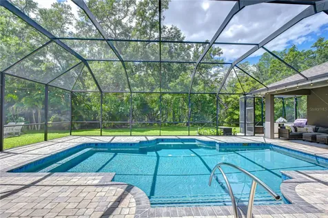 16170 Armistead Lane Odessa FL 33556