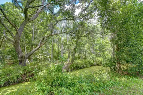 16170 Armistead Lane Odessa FL 33556