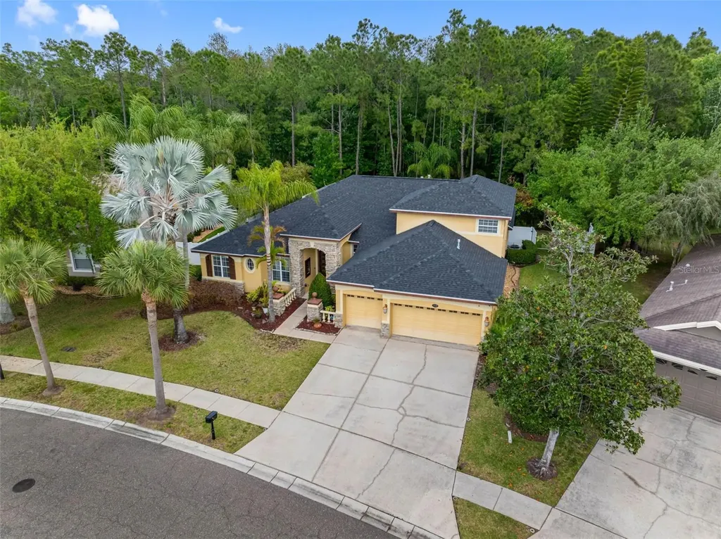 16750 Ivy Lake Drive Odessa FL 33556