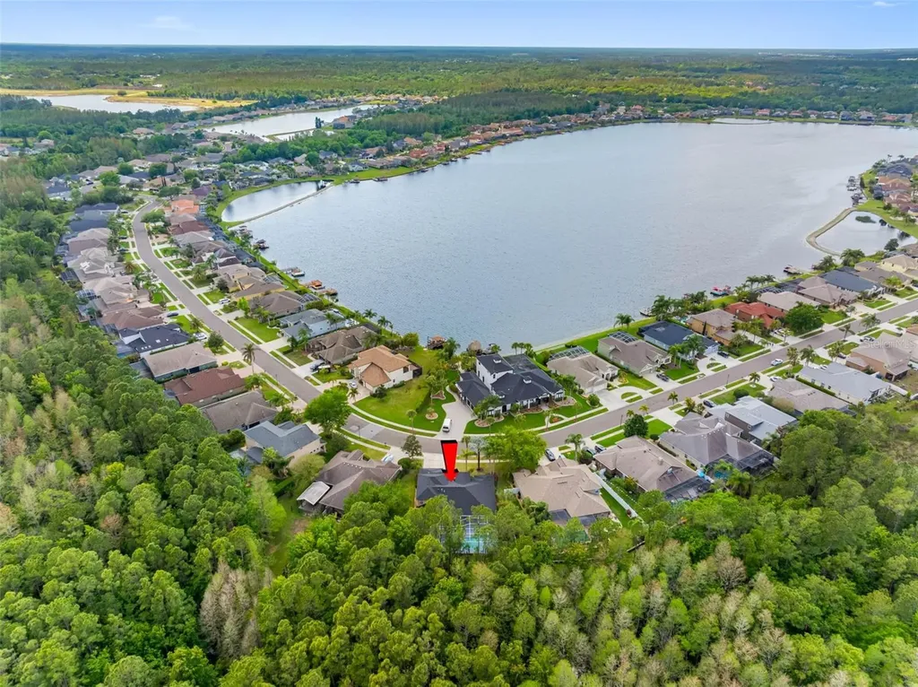 16750 Ivy Lake Drive Odessa FL 33556