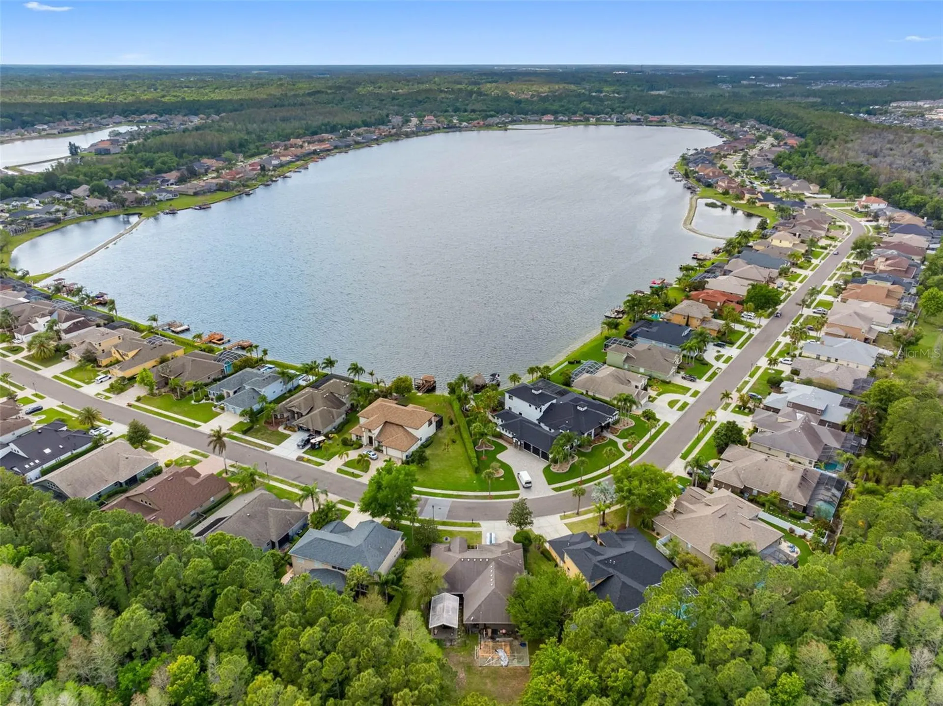 16750 Ivy Lake Drive Odessa FL 33556