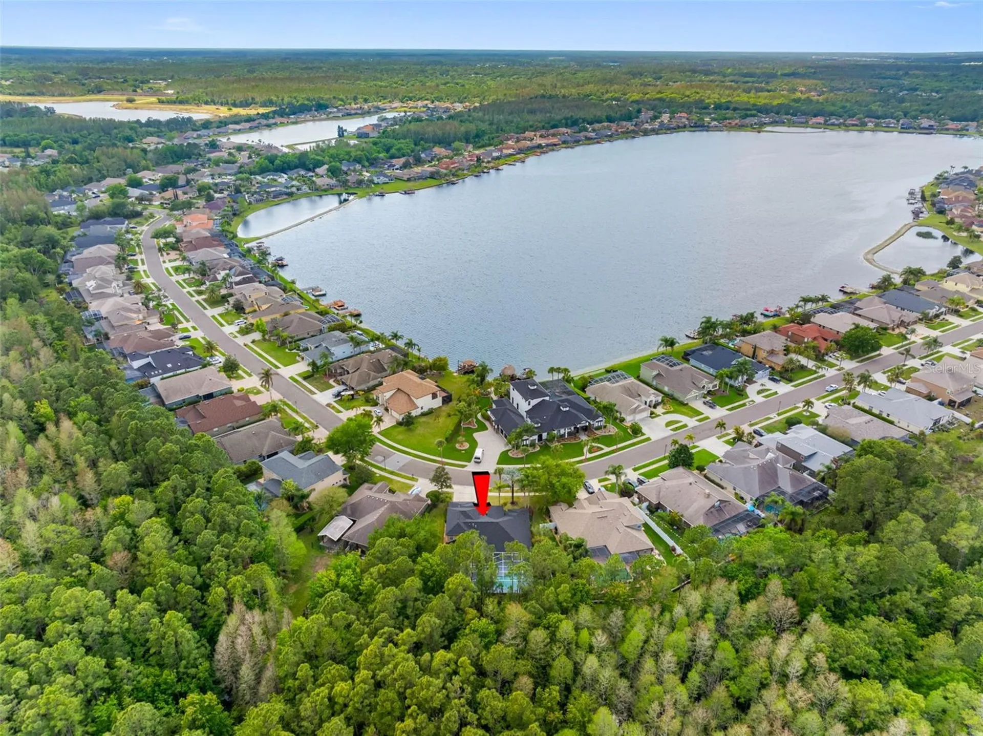 16750 Ivy Lake Drive Odessa FL 33556